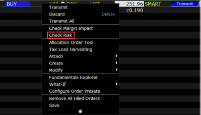 The check risk menu in TWS. 