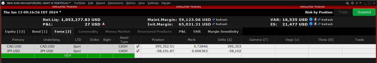 The forex tab risk by position in TWS. 